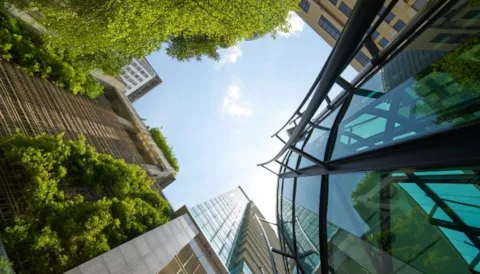 Compliance and Due Diligence