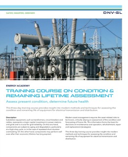 Condition & Remaining Lifetime Assessment