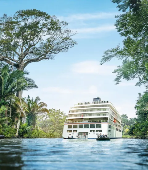 Cruise vessel in the jungle