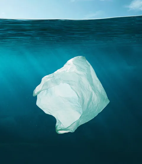 Plastic pollution