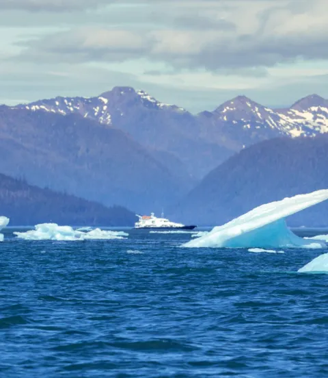 Polar waters