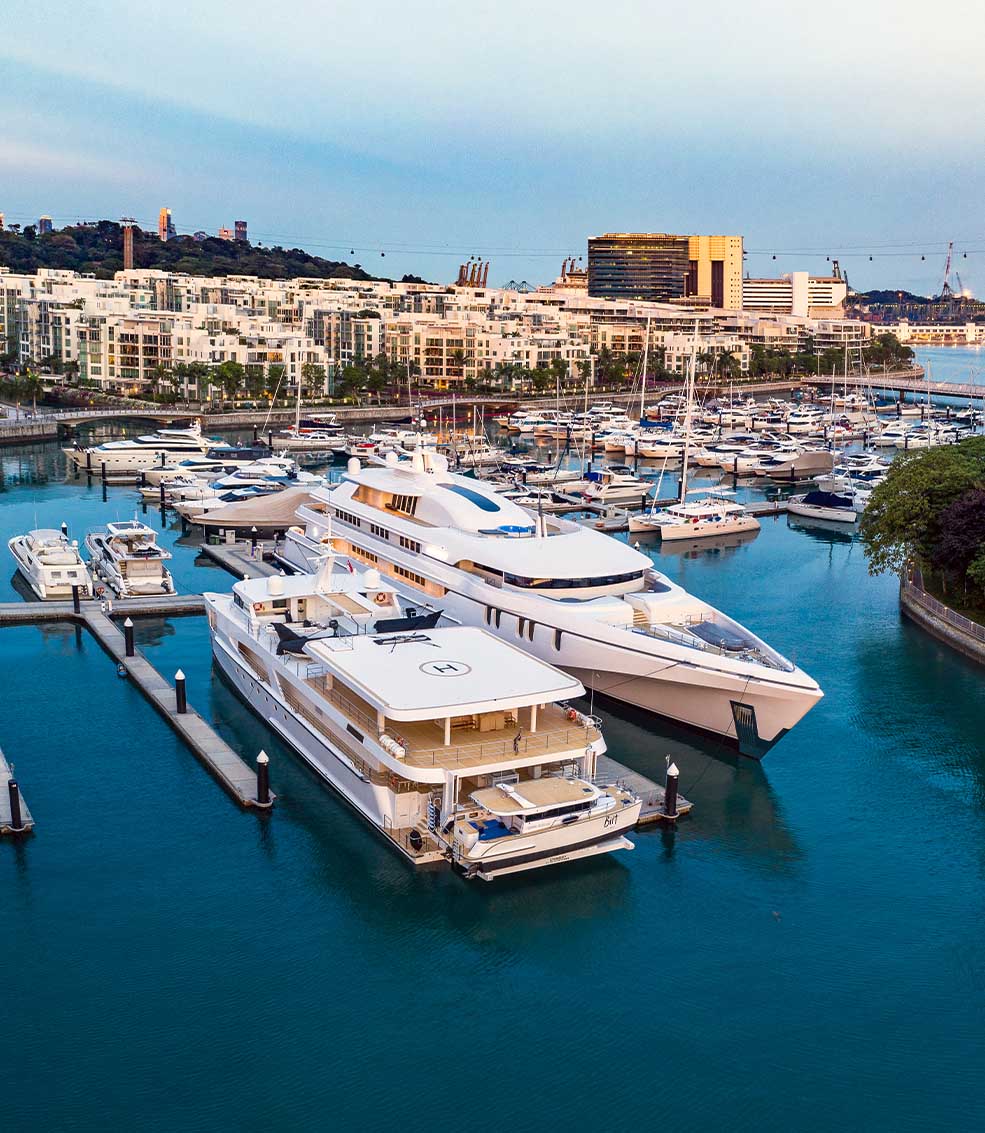 White Rabbit and Charley - DNV GL