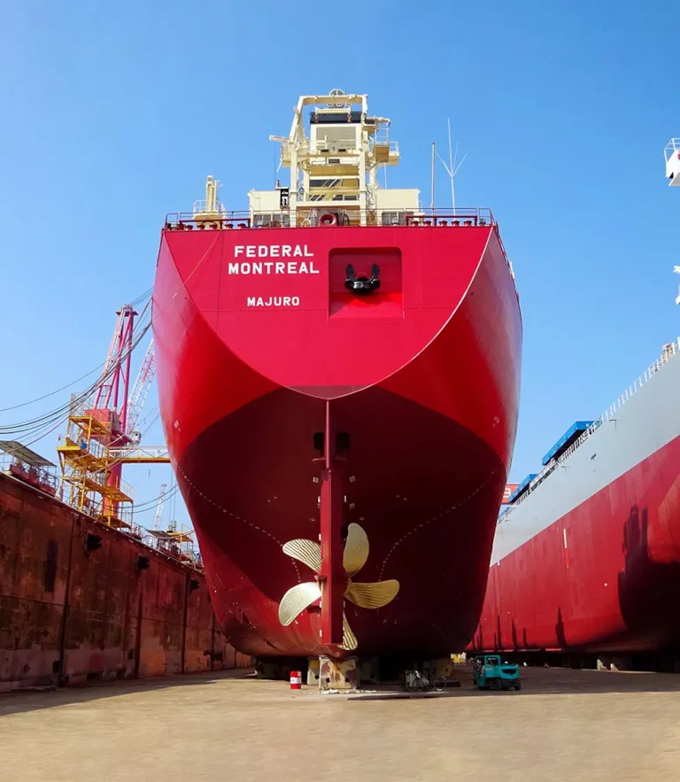 Ice-class laker bulk carrier tops off successful collaboration on 50 ...