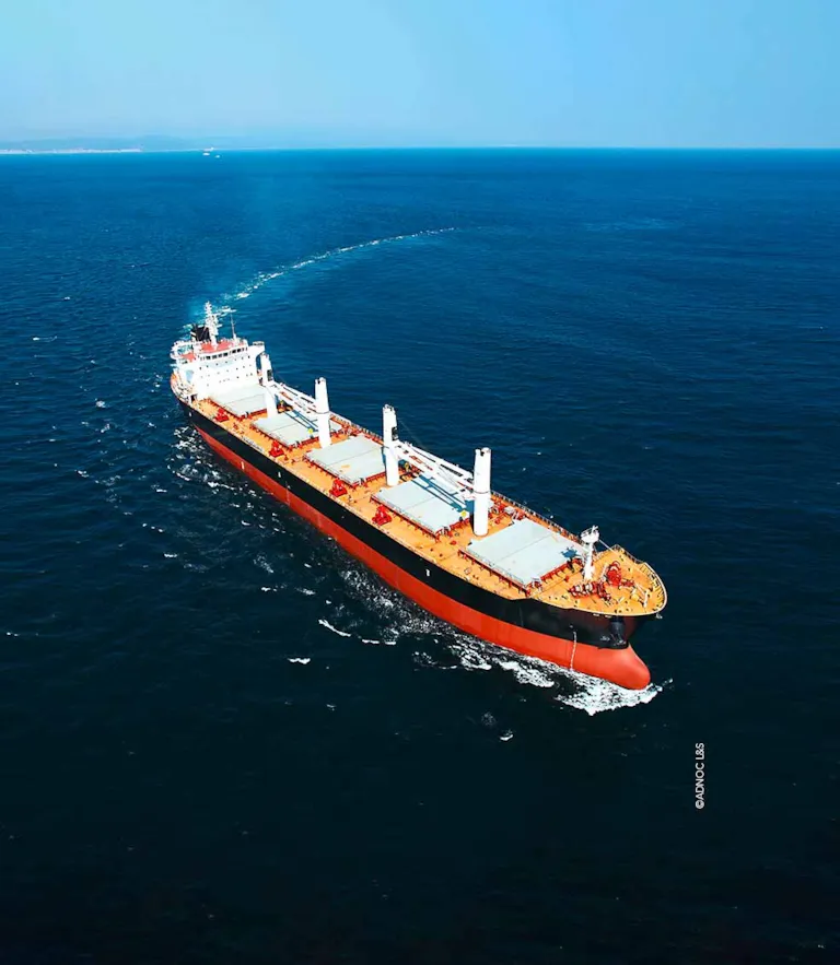 Bulk carrier Shah ADNOV L&S