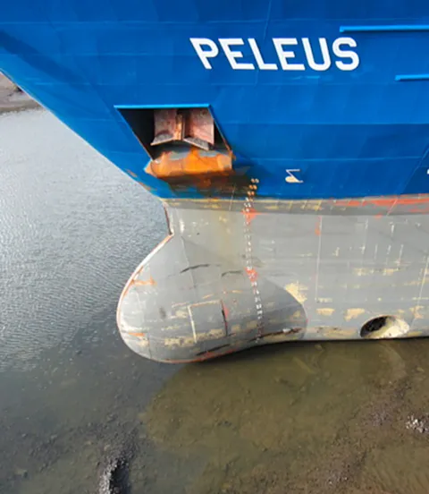 MPV Peleus - bow view - DNV GL