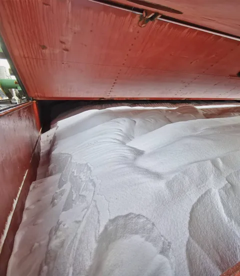 M2_Bul_314_bulk_cargo_hold_filled_with_powdery_goods