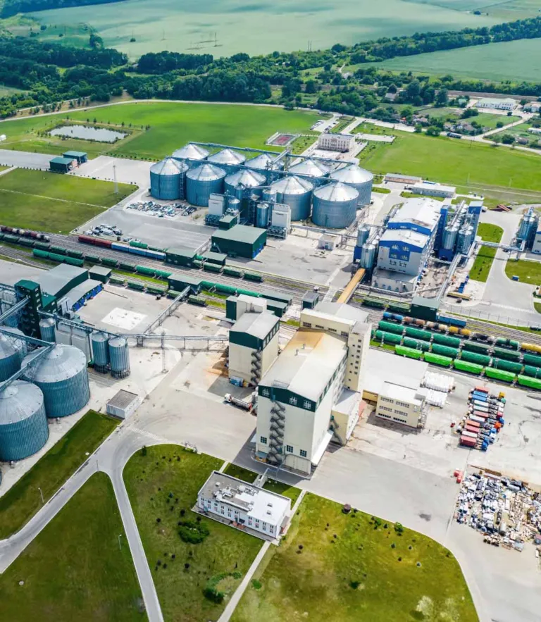 large biofuel production site