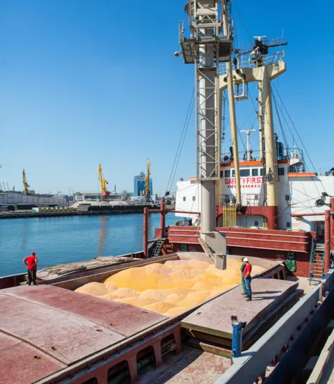 Bulk cargo