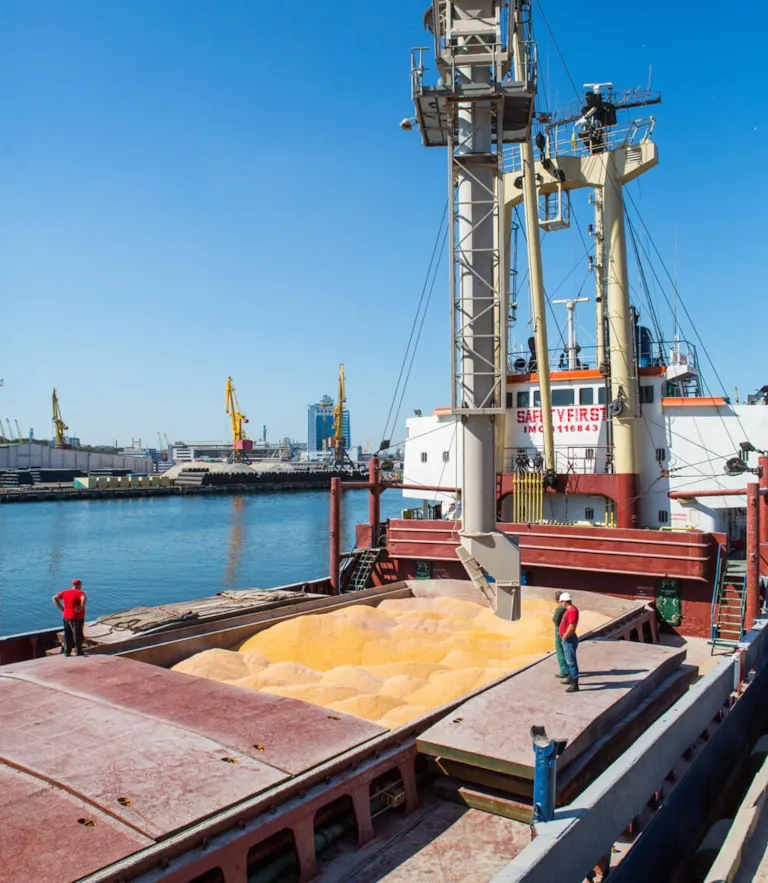 Bulk cargo