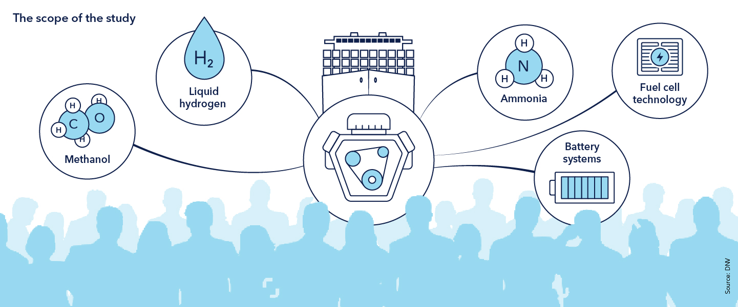 The scope of the study 