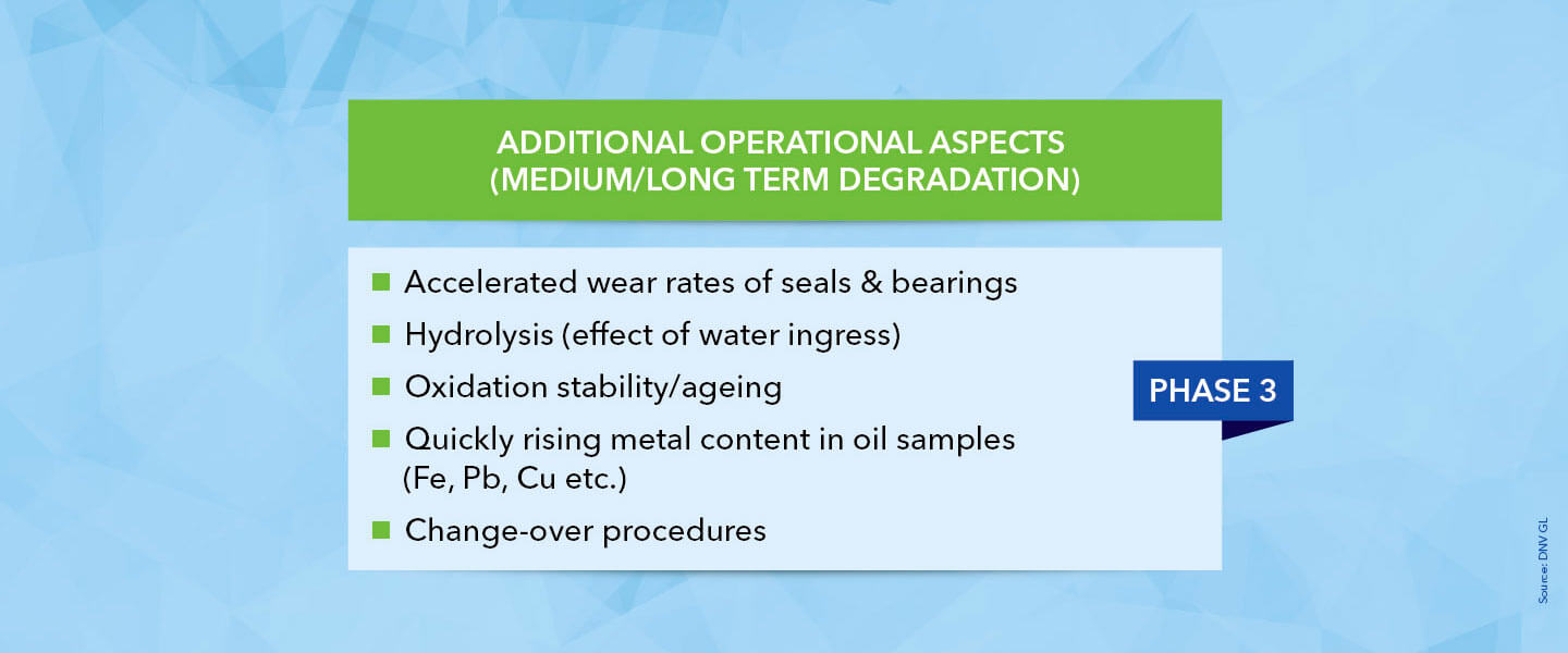 Outlook on further investigations