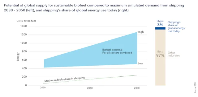 Potential of global biofuel supply
