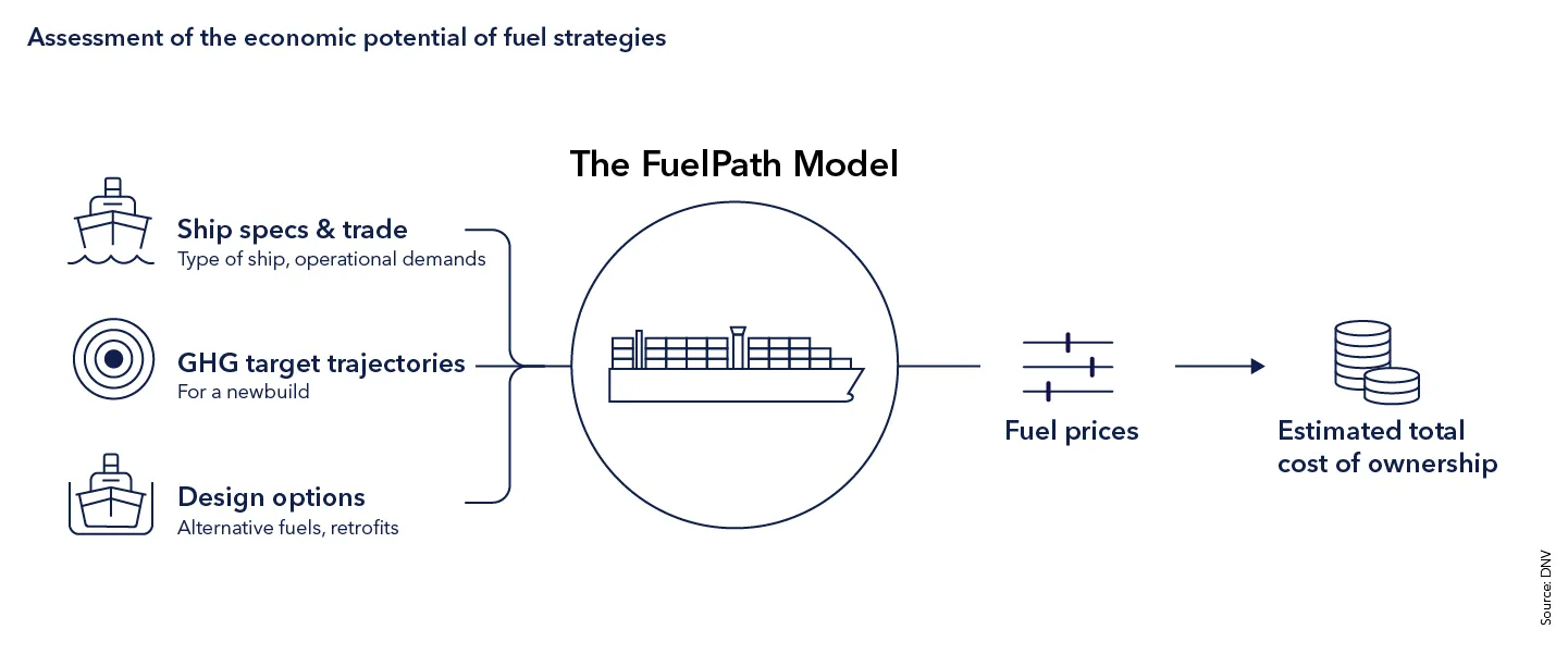 Assessment of the economic potential of fuel strategies 