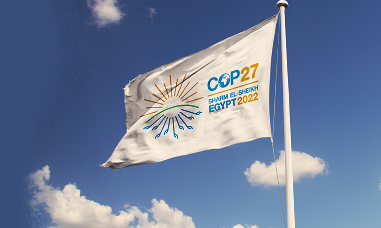 COP27