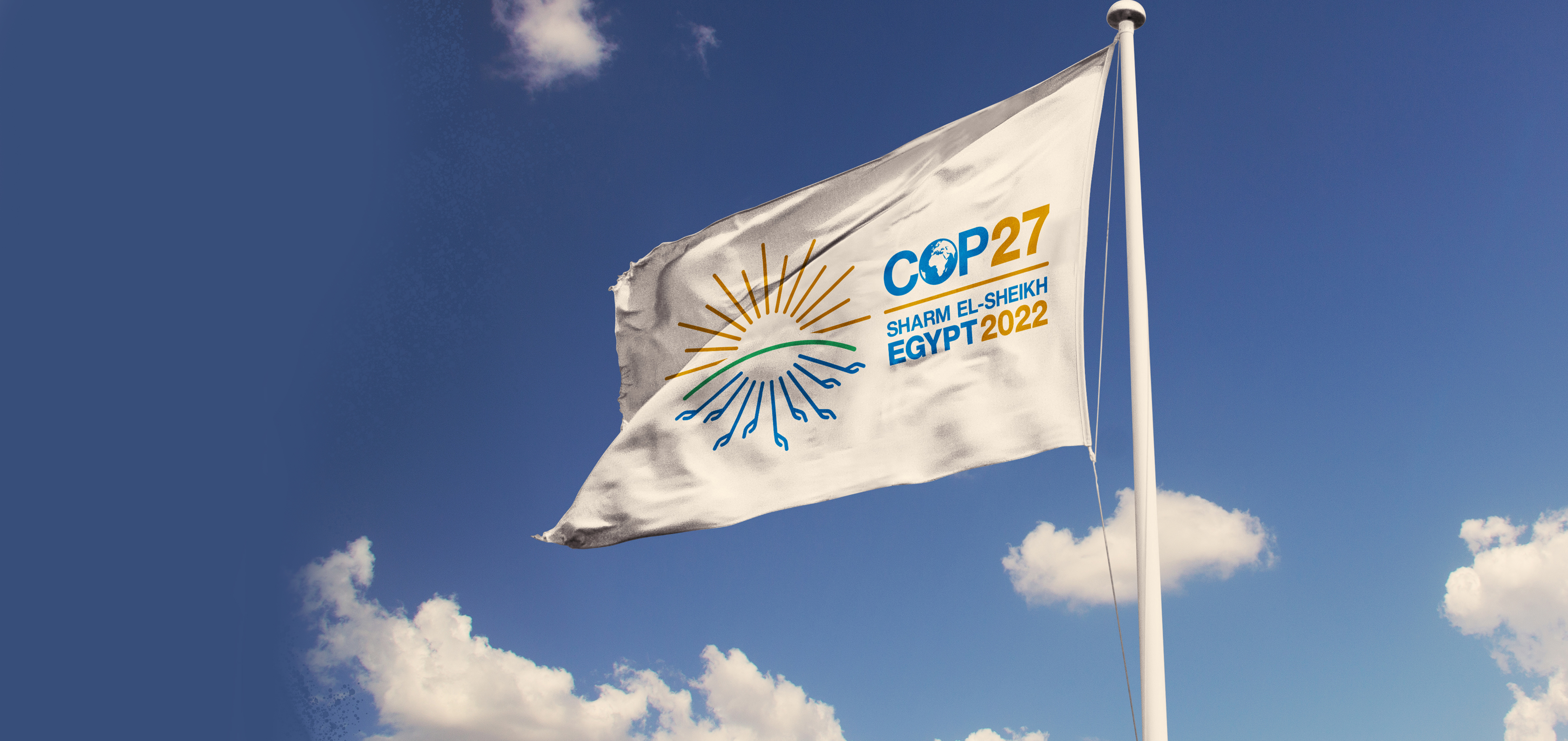 COP27