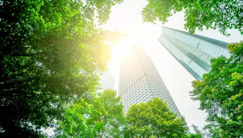 Corporate Sustainability Reporting Directive (CSRD)