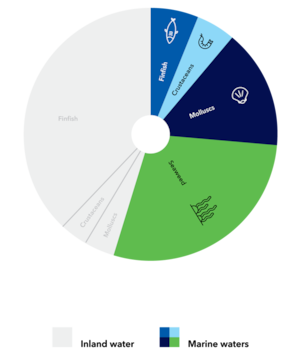 Chart: Current status of global aquaculture production