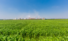 Descarbonizando la producción de hidrógeno