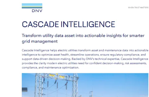 Cascade Intelligence flyer