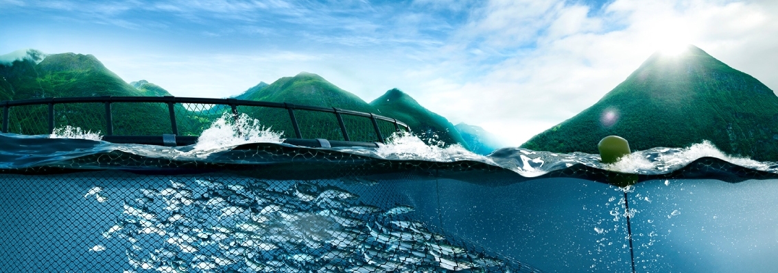 DNV supports Salmon Evolution on new NOK 1,55 million green debt financing package_1288x511
