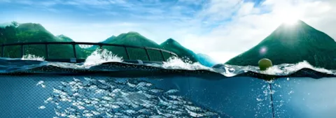 DNV supports Salmon Evolution on new NOK 1,55 million green debt financing package_1288x511