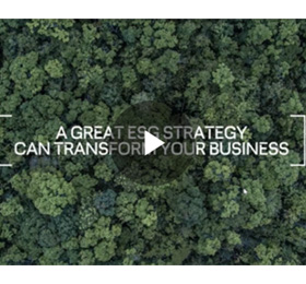 DNV brings ESG to life