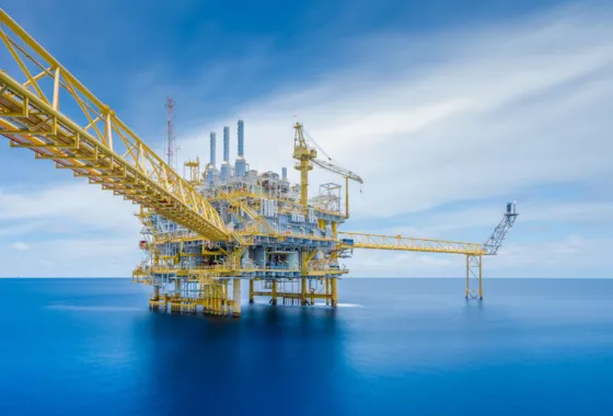 Cyper Rig Oil Cases