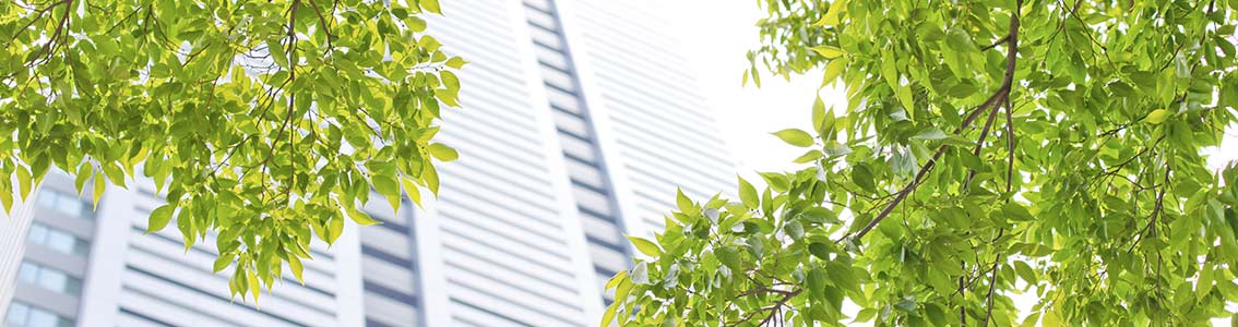 ISO 14001 環境管理