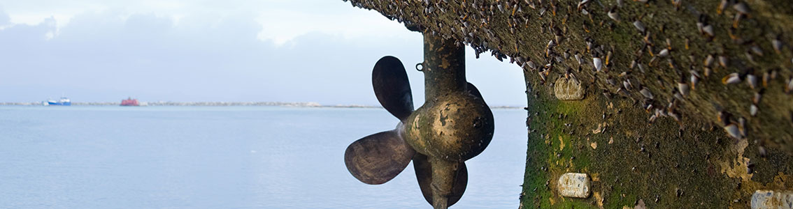 Hull and propeller performance analytics