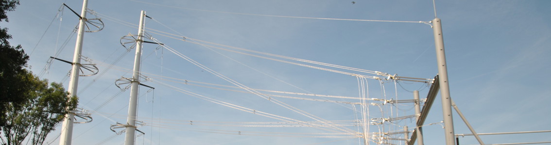 Doing the project right