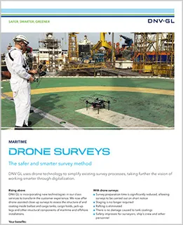 Drone surveys flyer