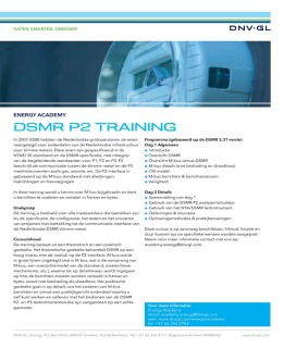 DSMR P2