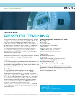 DSMR P3