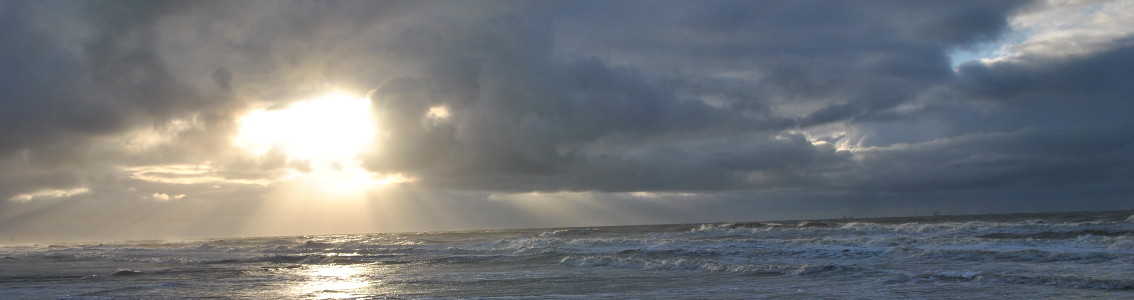 Due diligence Borssele OWF