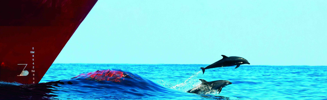 ECO Retrofit service