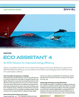 ECO Assistant flyer