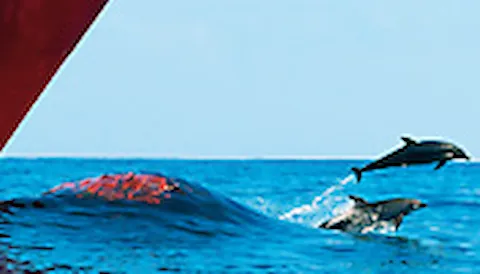 ECO Assistant——有效的纵倾优化