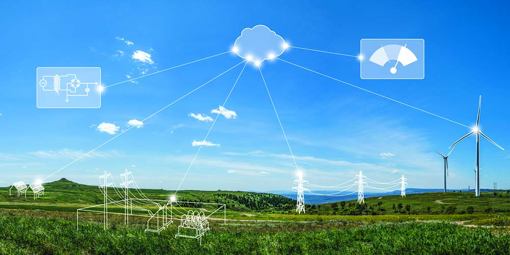 Electric grid ecosystem