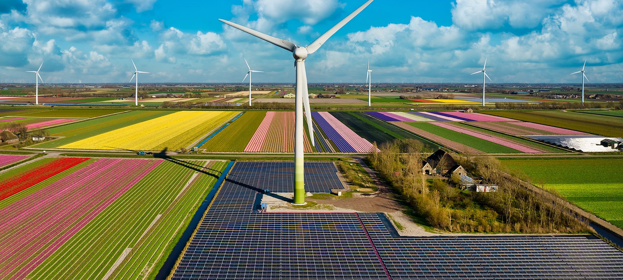 Wind mills and solar panels in tulip fields