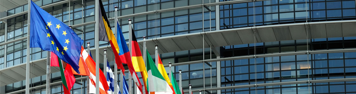 European Energy Efficiency Directive Article 8