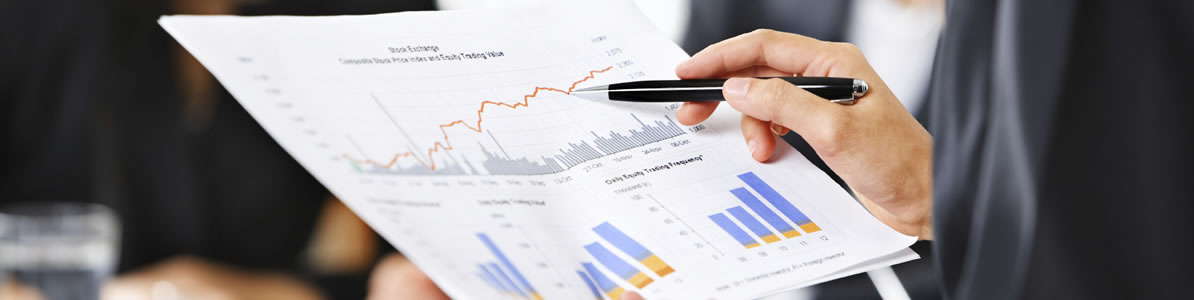 市场调研与项目评估