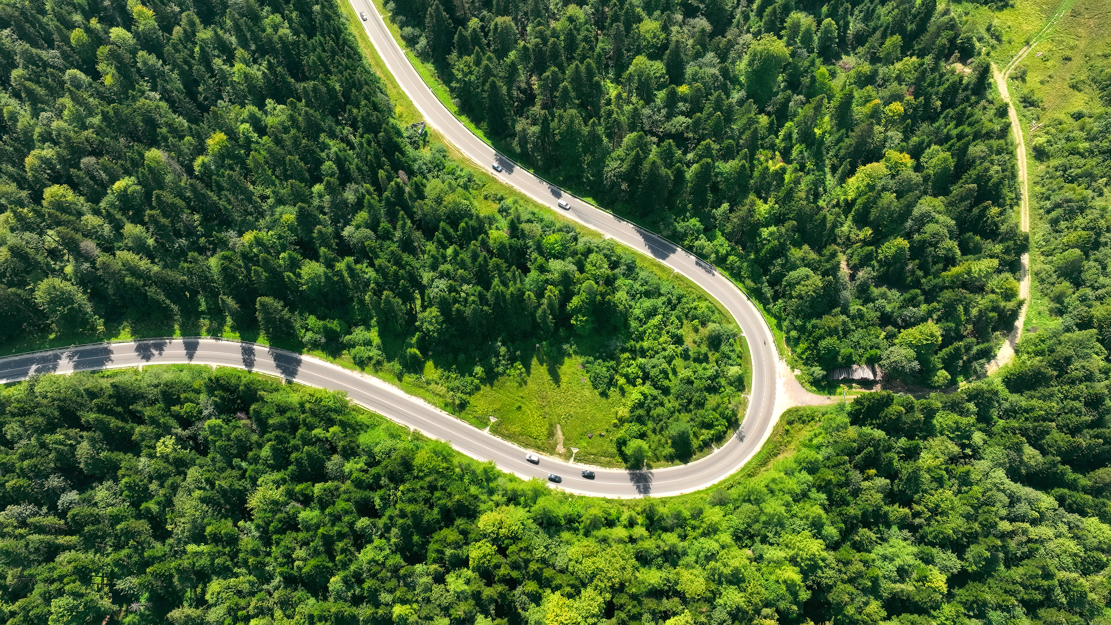 Aerial view of a winding road through green forest