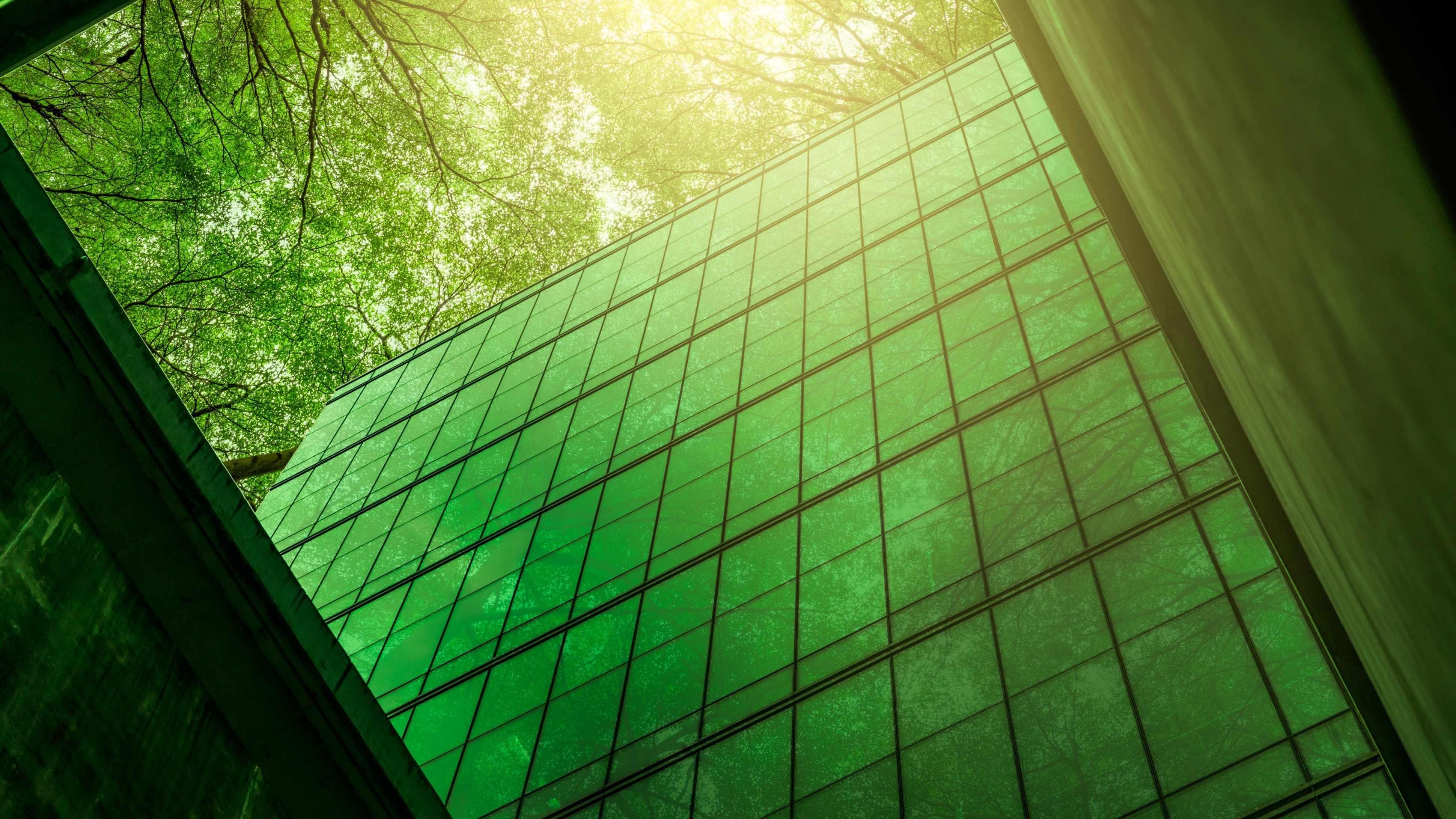Modern office building with trees and sunshine
