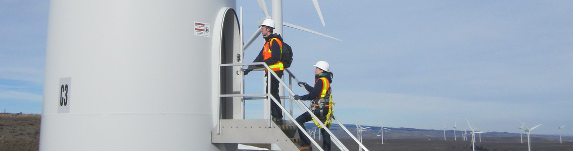 Lifetime extension of wind turbines
