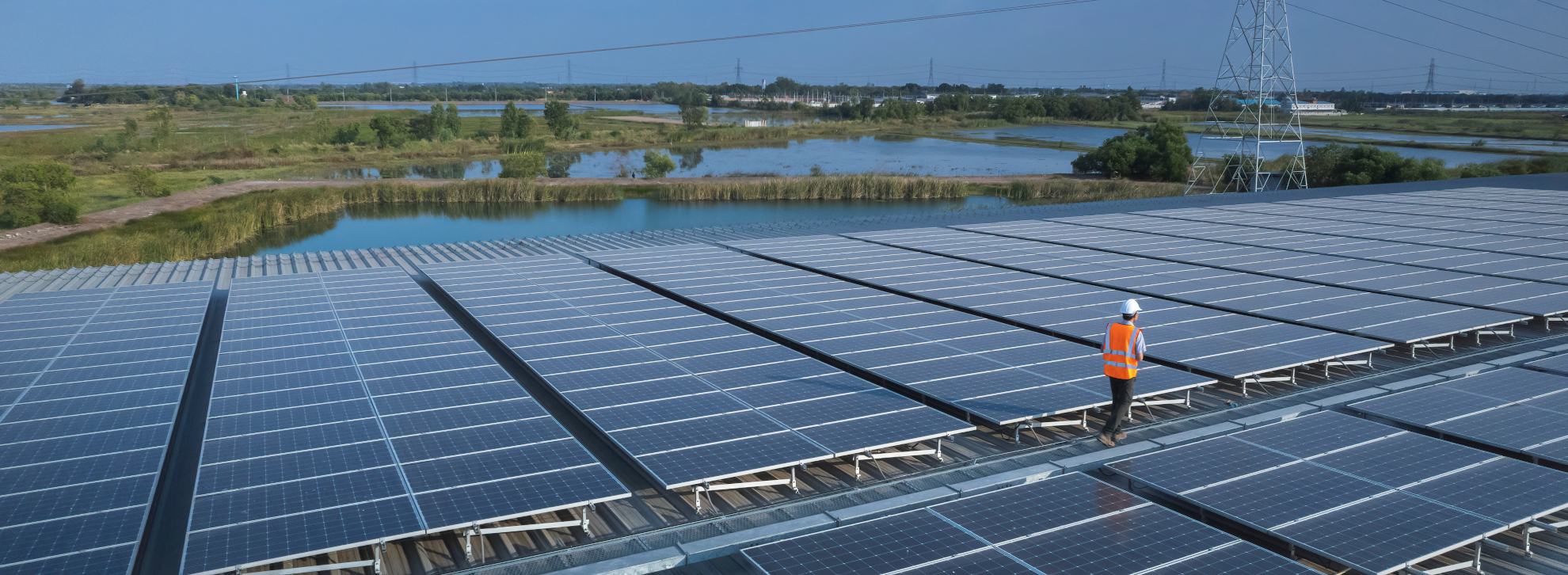 Audits and inspections