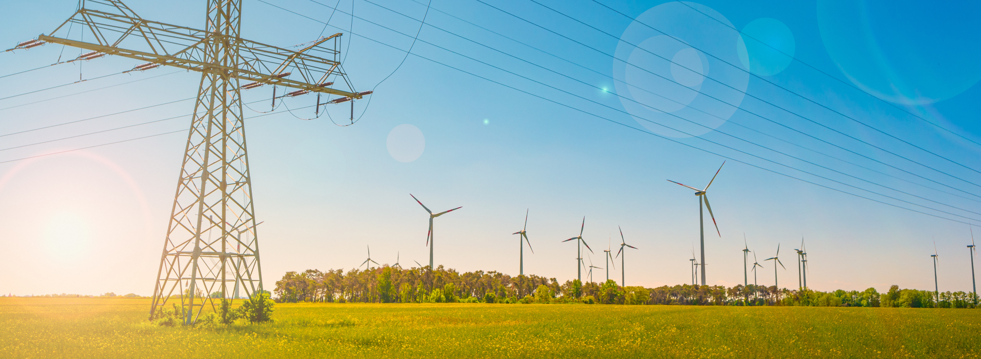 Biodiversity and Environment