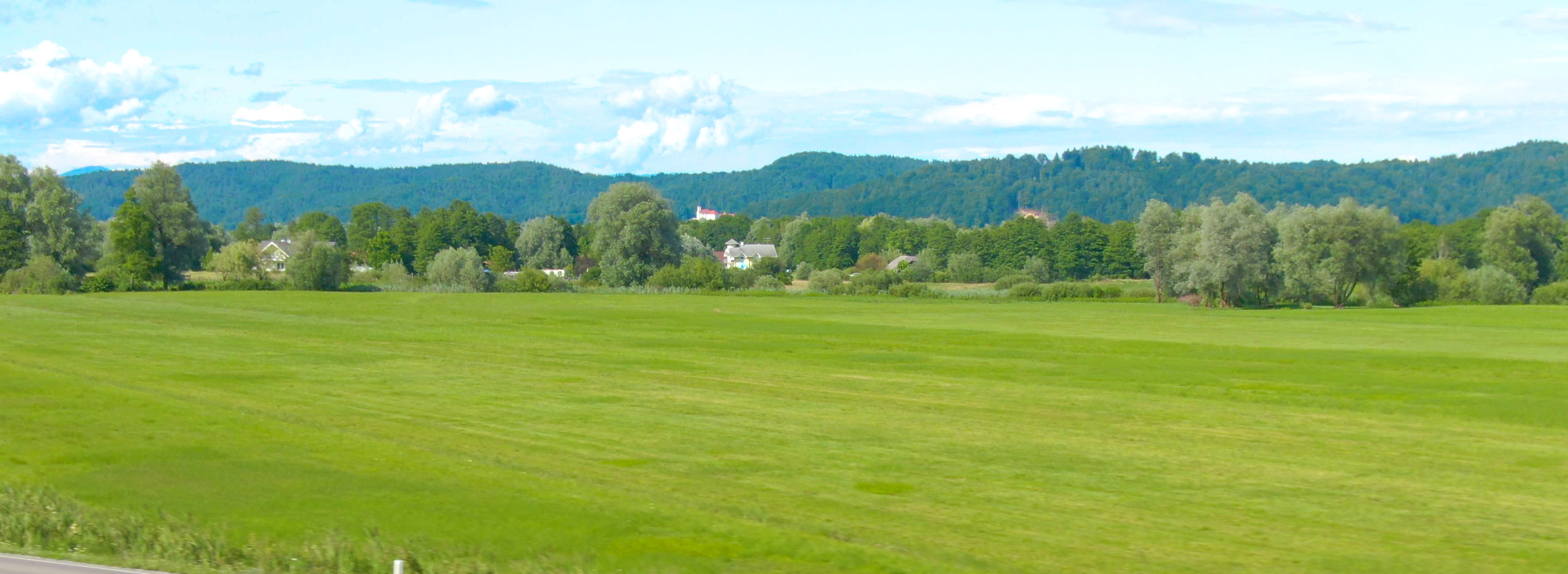 Sustainability consulting