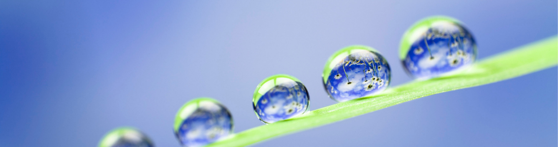 Environmental compliance management