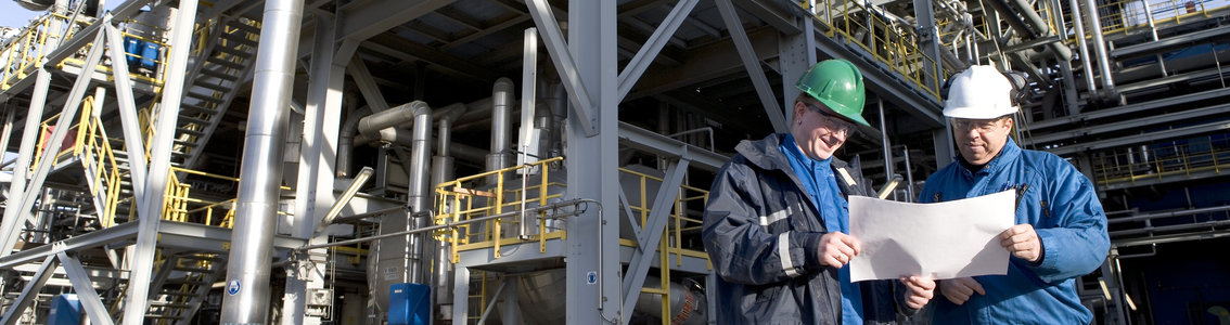 Environmental risk analysis