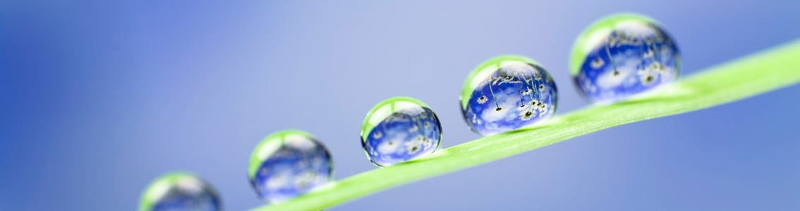 HSE compliance management